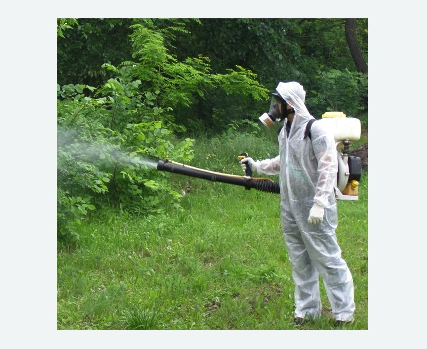 обработка территории от клещей в деревне Старая