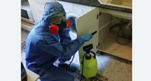 Уничтожение муравьев в квартире. деревня Старая