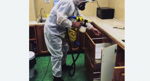 Уничтожение насекомых в квартире. деревня Старая