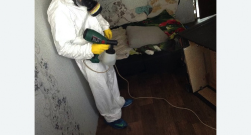 Обработка квартир от насекомых в деревне Старая