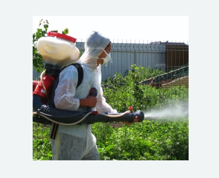 Акарицидная обработка территории в деревне Старая