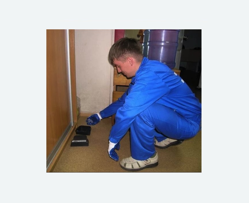 Дератизация крыс в деревне Старая