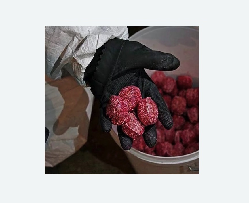 Обработка от крыс в деревне Старая