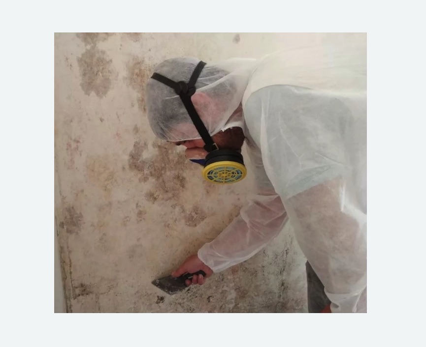 Обработка стен от плесени в деревне Старая