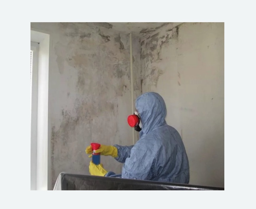 Удаление плесени в квартире в деревне Старая