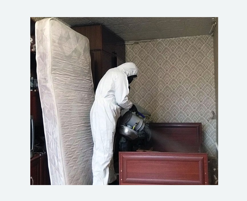 дезинфекция от клопов в деревне Старая