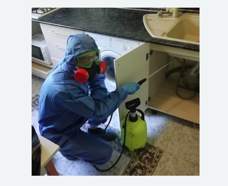 обработка от муравьев в квартире в деревне Старая