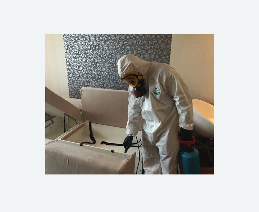 уничтожение клопов в квартире в деревне Старая