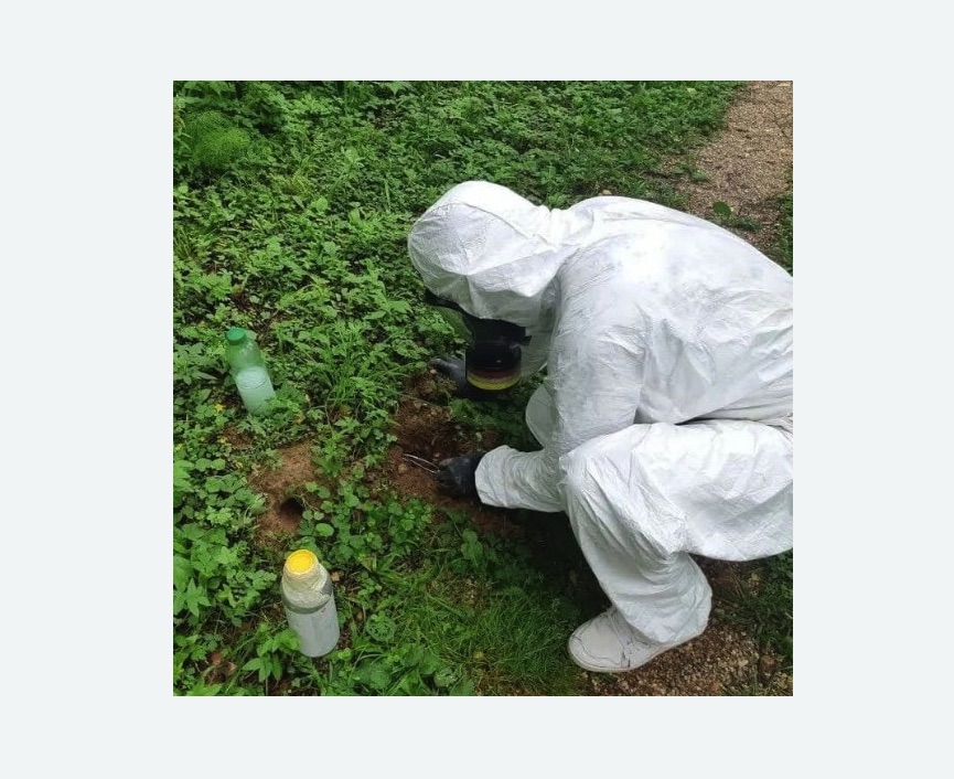 уничтожение кротов на участке в деревне Старая