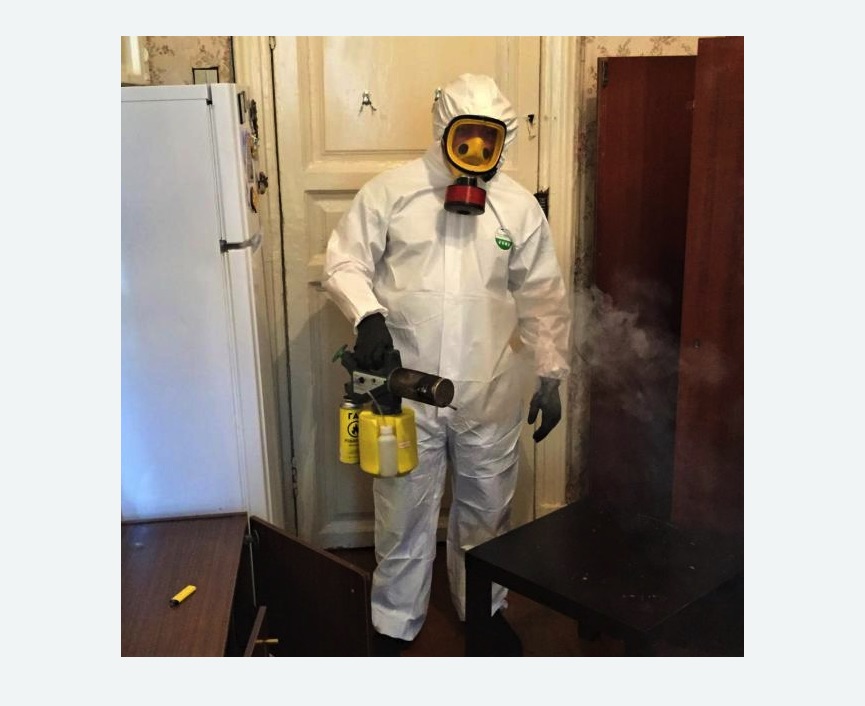 уничтожение муравьев в квартире в деревне Старая